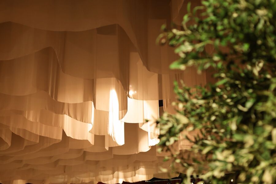 Olive tree corporate event UAE by Special Moments